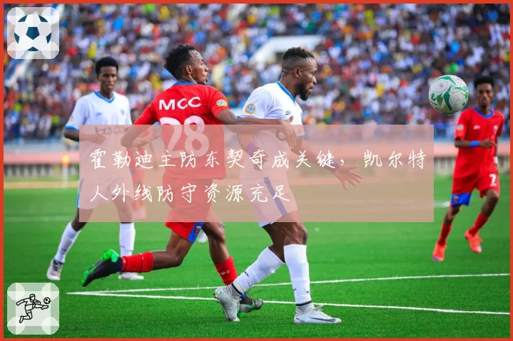 霍勒迪主防东契奇成关键，凯尔特人外线防守资源充足