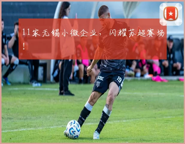 11家无锡小微企业,闪耀苏超赛场!