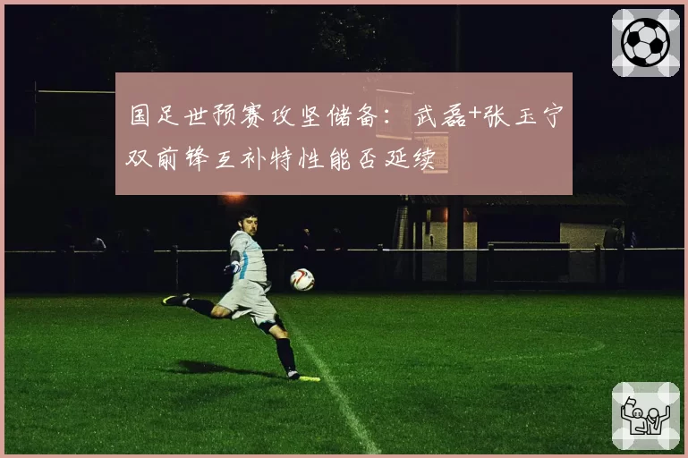 国足世预赛攻坚储备：武磊+张玉宁双前锋互补特性能否延续